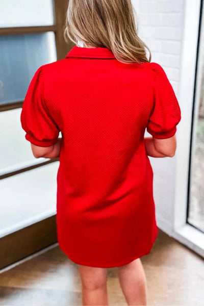 Fiery Red V Neck Puff Sleeve Textured Mini Dress