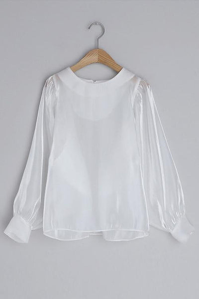 Gleamingly Organza Puff Sleeve Blouse